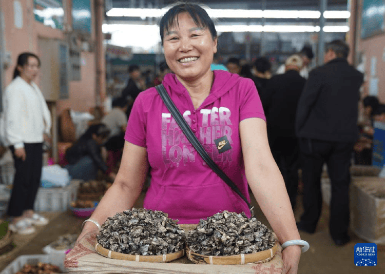 DeepFashion服装和服装属性，种类数据集
