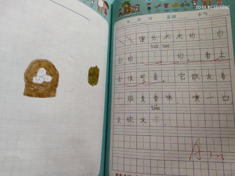 中等规模的七段数码管数据集合