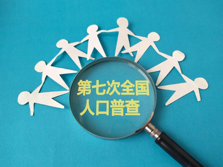第七次人口普查数据集