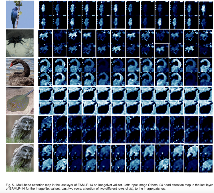 Imagenet_val_41_nofloder数据集