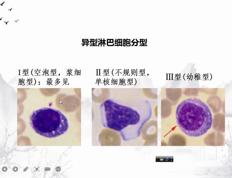 CELL_PAS数据集
