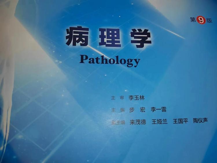 组织病理学癌症检测数据集