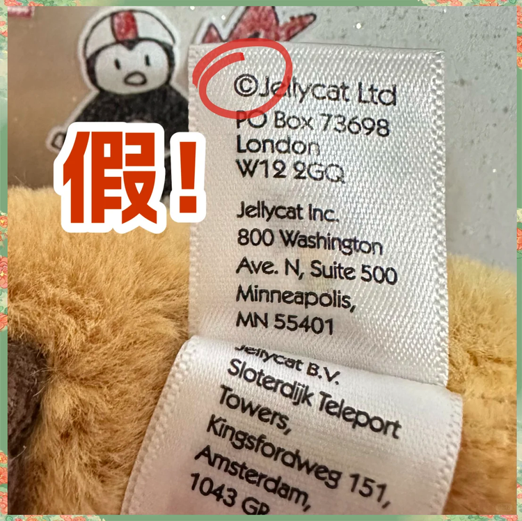 catvnoncat数据集