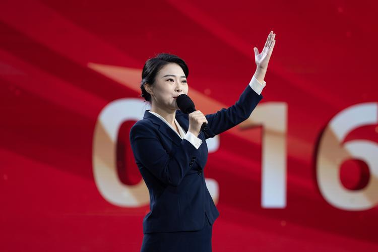 TED演讲数据集