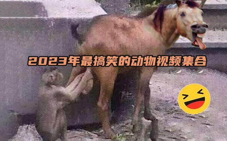 iemocap数据集