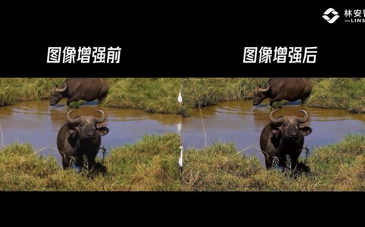 LLIE数据集
