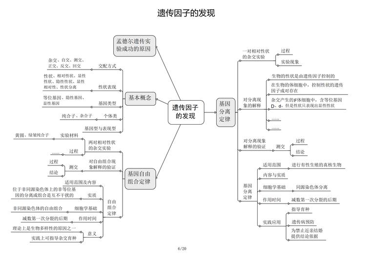 预训练模型知识量度量数据集2