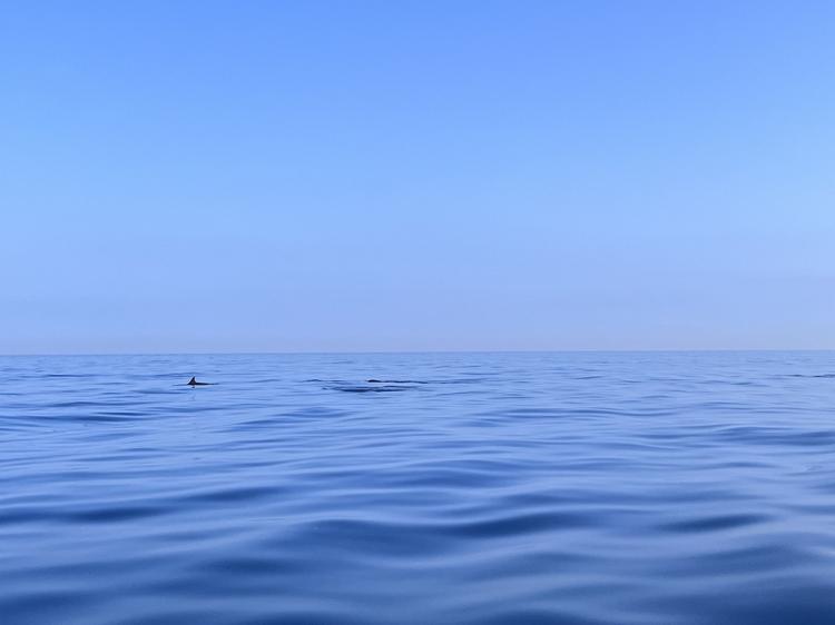 水面目标检测数据集