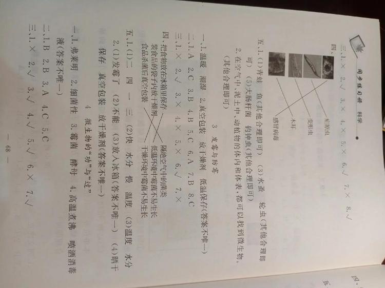 EdNetK1预处理数据集
