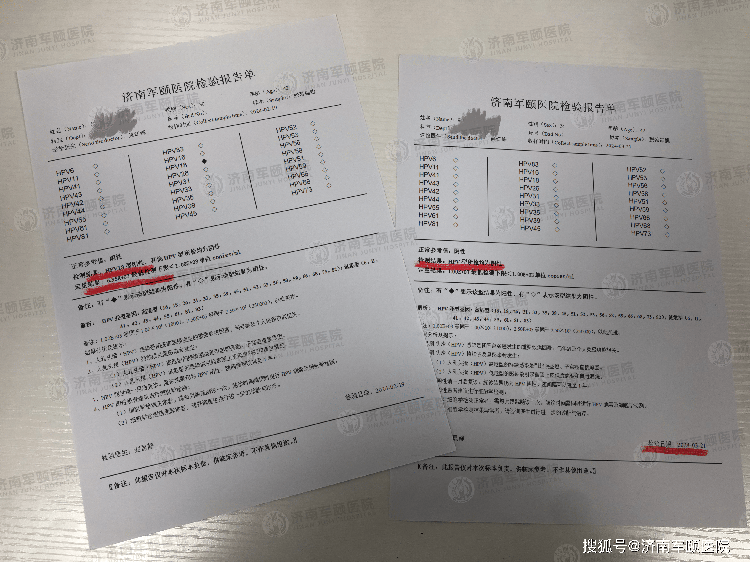 体检报告数据集