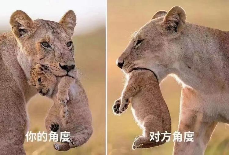 自制装甲板数据集