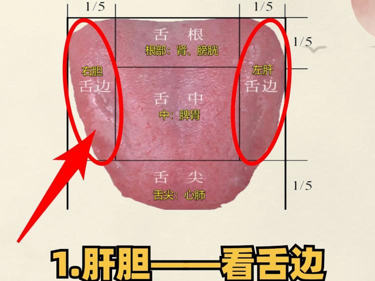 舌苔数据集2