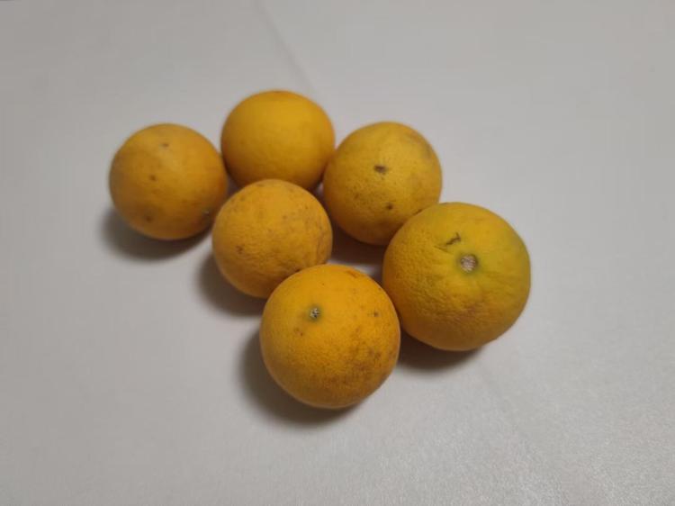 cp数据集