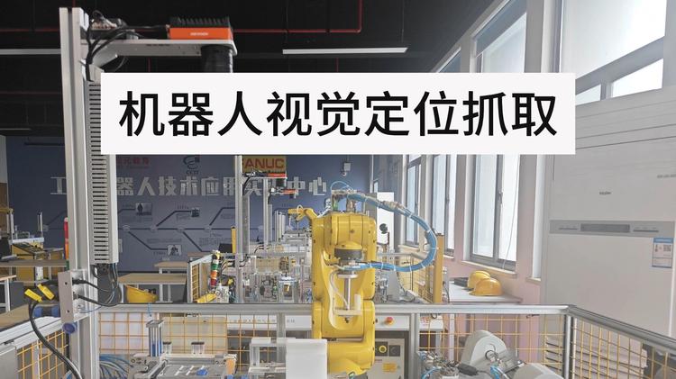 荷斯坦牛定位与识别数据集