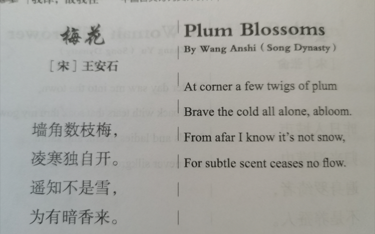 中英翻译数据集
