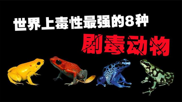 共享模型数据集