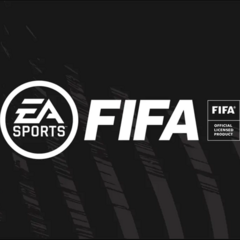 FIFA 24球员统计数据集