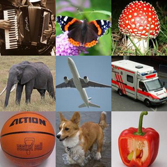 分类图像数据集（ImageNet 256×256 像素版本）