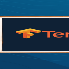 TF Keras预训练模型权重数据集