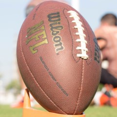 NFL统计数据