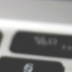 猫图像数据集