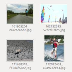 Flickr8k数据集