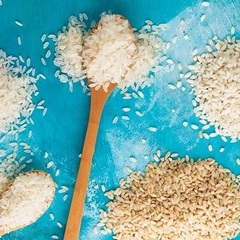 Rice MSC数据集
