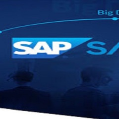 SAP自行车销售示例数据