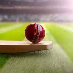 Cricket Legends图像数据集