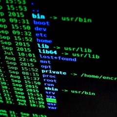 动态恶意软件分析生成的API调用数据集