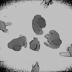 头顶深度图像人物检测（GOTPD）数据集