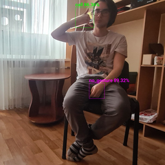 YOLOX ONNX运行时推理演示文件数据集