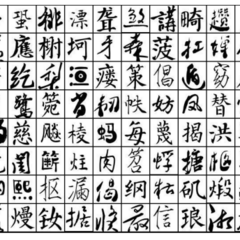 CHS数据集