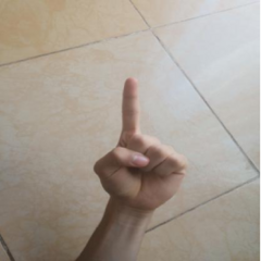 阿拉伯语手语ArSL数据集