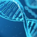 染色体1上的SP1因子结合位点数据集