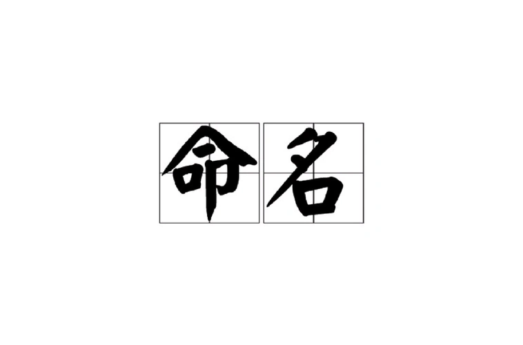 CLUENER 细粒度命名实体识别数据集