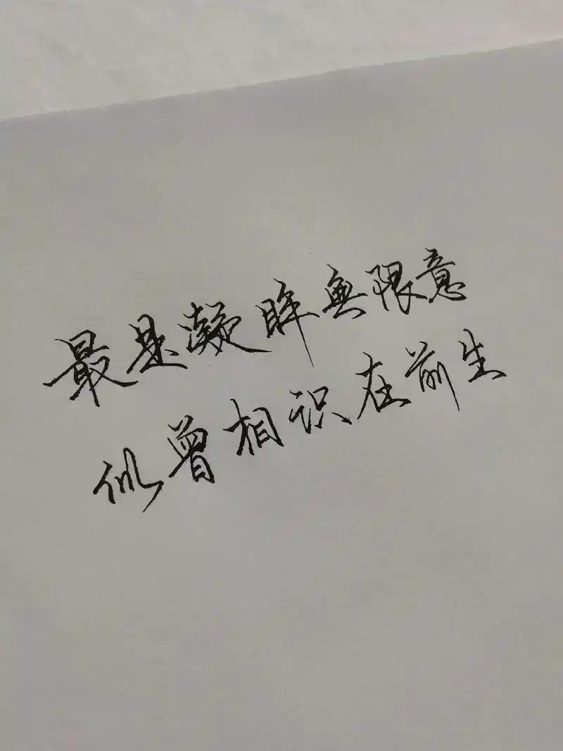手写数据集（文本）