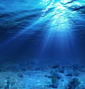 水下图像数据集