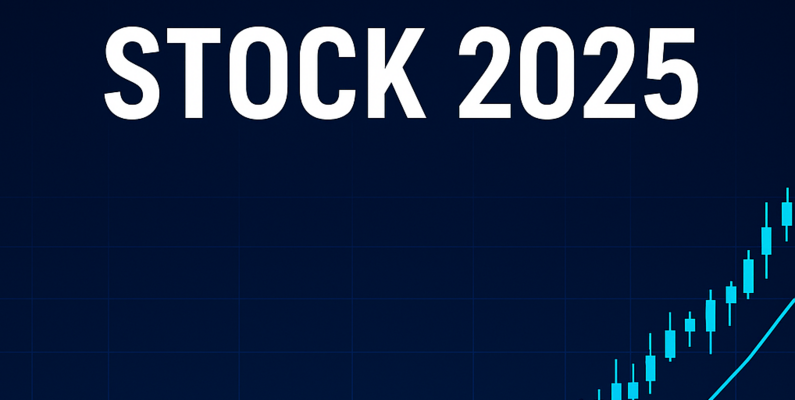 库存 2025