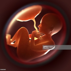Abortion_2018